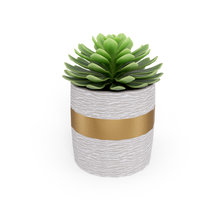 Load 3D model into Gallery viewer, Echeveria Cactus &amp; Gold

