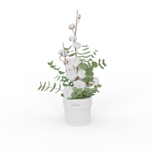 Load 3D model into Gallery viewer, Cotton Plant
